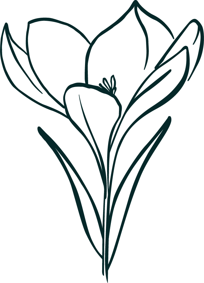 fleur décoration d'intérieur